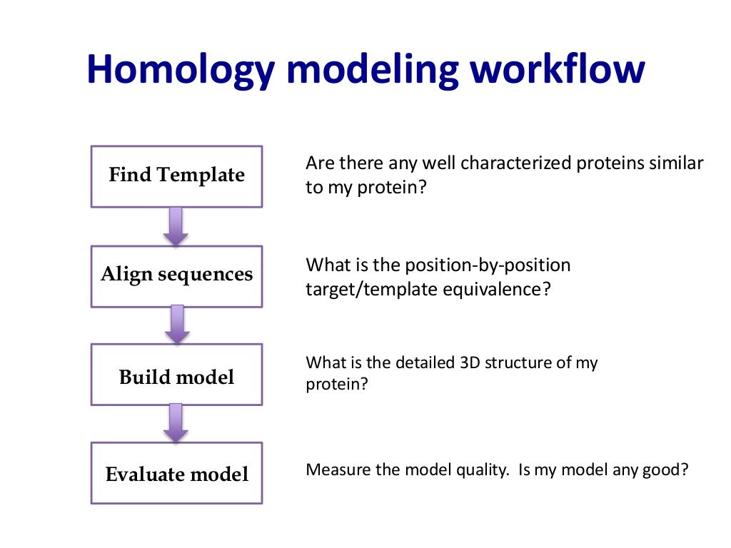 Homology modeling: Modeller