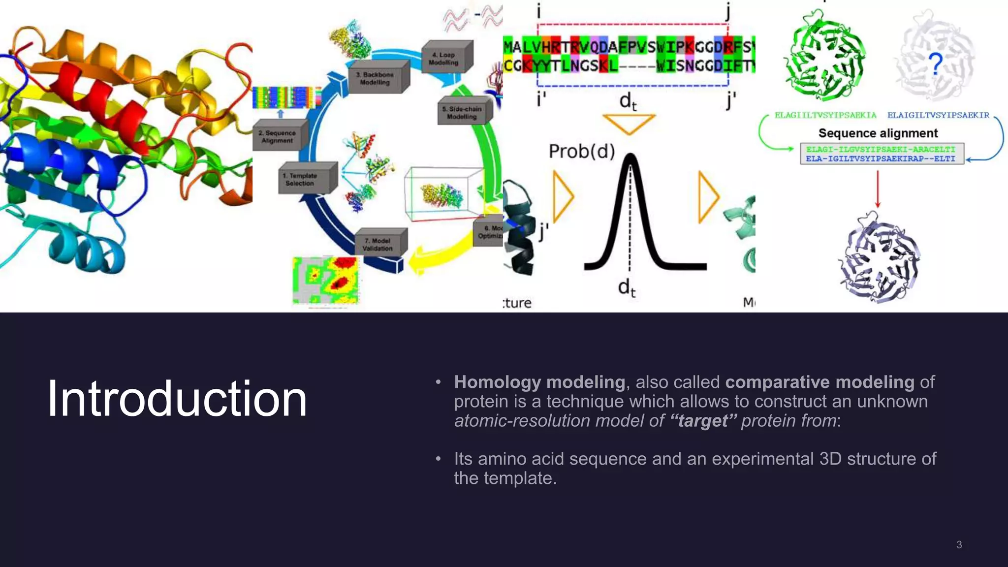 Homology modeling of proteins (ppt) | PPTX