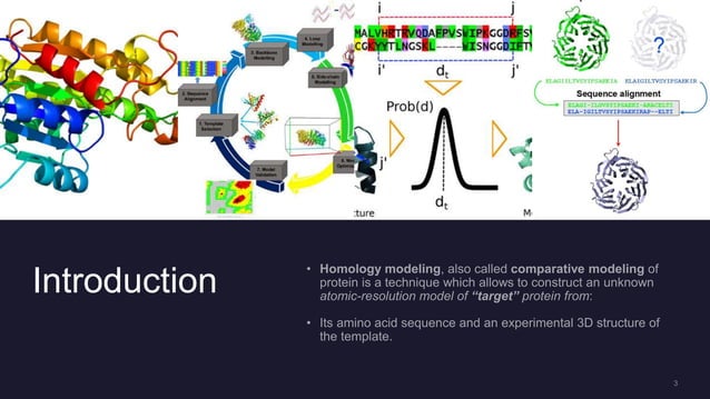 Homology modeling of proteins (ppt) | PPTX