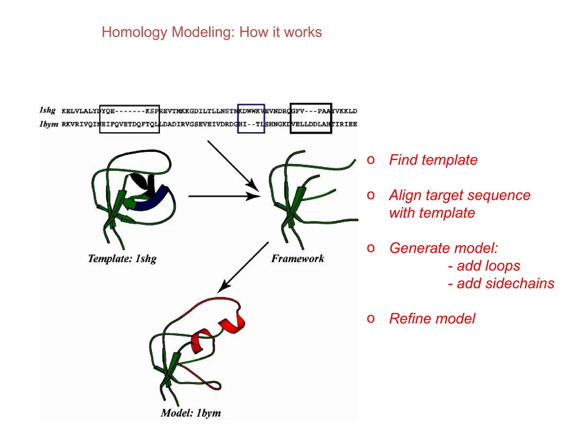 Homology Modeling: How it works
o Find template
o Align target sequence
with template
o Generate model:
- add loops
- add sidechains
o Refine model
 