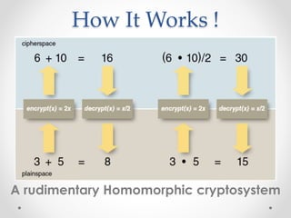 Homomorphic encryption | PPTX