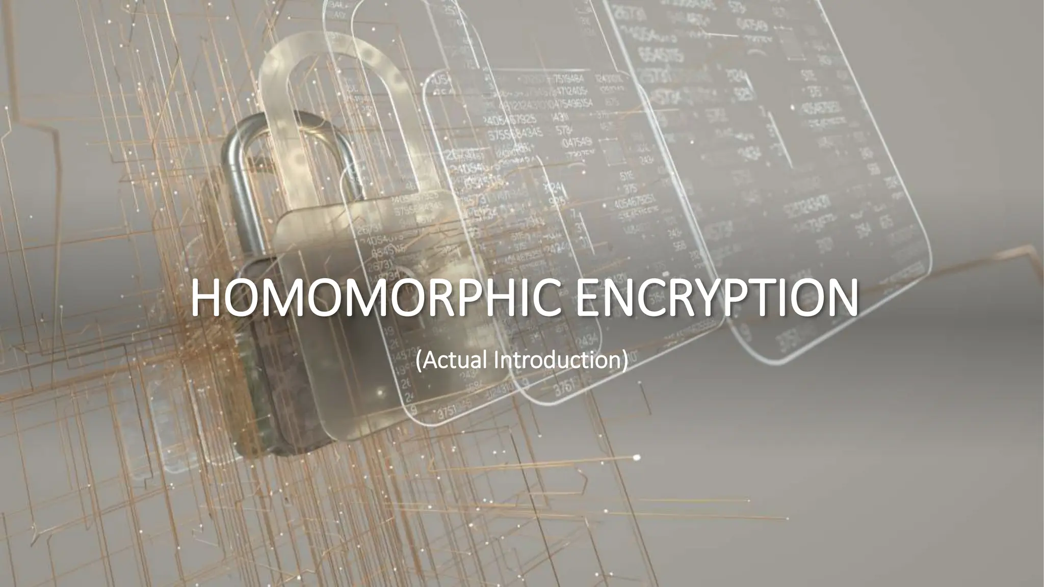 HOMOMORPHIC ENCRYPTION
(Actual Introduction)
 