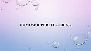 HOMOMORPHIC FILTERING
 