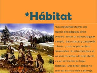         *Hábitat*Los neandertales fueron una especie bien adaptada al frío extremo . Tenían un cráneo alargado y amplio , baja estatura y complexión robusta , y nariz amplia de aletas prominentes . Su estructura ósea no los hacia corredores de largo aliento, sí eran caminantes de largas distancias.  Eran de tez  blanca y el color del pelo era rubio o pelirrojo.