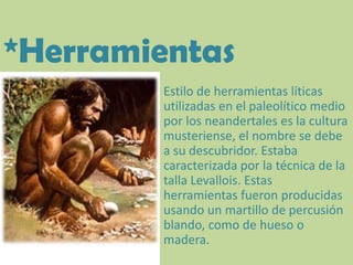 *HerramientasEstilo de herramientas líticas utilizadas en el paleolítico medio por los neandertales es la cultura musteriense, el nombre se debe a su descubridor. Estaba caracterizada por la técnica de la talla Levallois. Estas herramientas fueron producidas usando un martillo de percusión blando, como de hueso o madera.