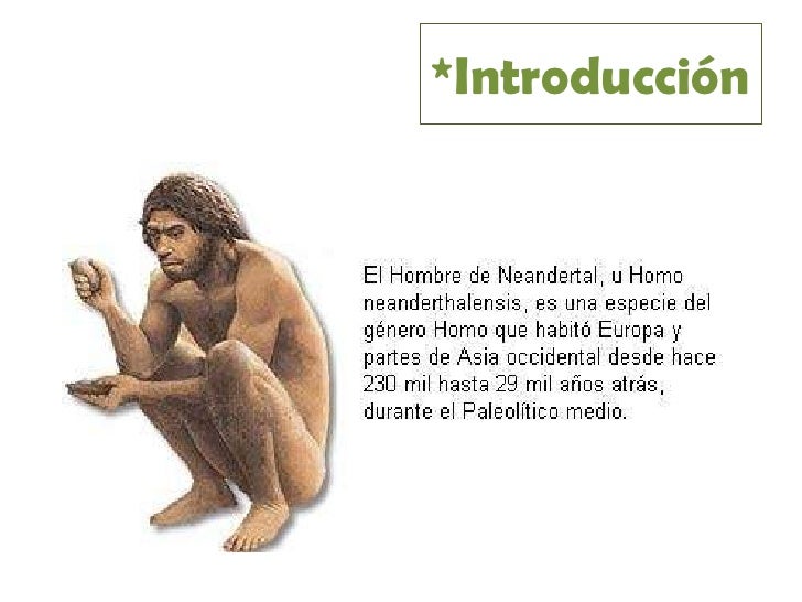My homo de