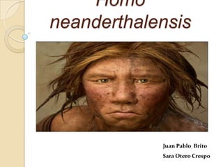 Homo
neanderthalensis
Juan Pablo Brito
Sara Otero Crespo
 
