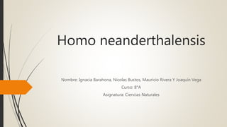 Homo neanderthalensis
Nombre: Ignacia Barahona, Nicolas Bustos, Mauricio Rivera Y Joaquín Vega
Curso: 8°A
Asignatura: Ciencias Naturales
 