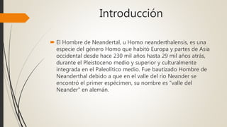 Introducción
 El Hombre de Neandertal, u Homo neanderthalensis, es una
especie del género Homo que habitó Europa y partes de Asia
occidental desde hace 230 mil años hasta 29 mil años atrás,
durante el Pleistoceno medio y superior y culturalmente
integrada en el Paleolítico medio. Fue bautizado Hombre de
Neanderthal debido a que en el valle del río Neander se
encontró el primer espécimen, su nombre es "valle del
Neander" en alemán.
 