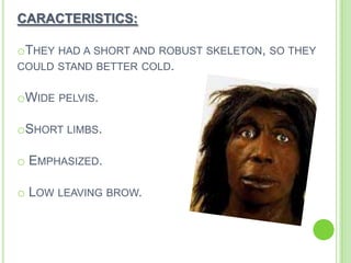 CARACTERISTICS:
oTHEY HAD A SHORT AND ROBUST SKELETON, SO THEY
COULD STAND BETTER COLD.
oWIDE PELVIS.
oSHORT LIMBS.
o EMPHASIZED.
o LOW LEAVING BROW.

 