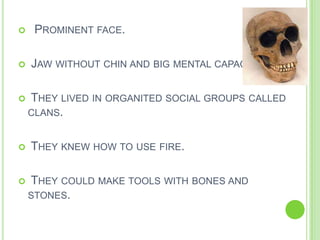 









PROMINENT FACE.
JAW WITHOUT CHIN AND BIG MENTAL CAPACITY.
THEY LIVED IN ORGANITED SOCIAL GROUPS CALLED
CLANS.

THEY KNEW HOW TO USE FIRE.
THEY COULD MAKE TOOLS WITH BONES AND
STONES.

 
