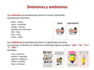 Comprehensive Spanish Vocabulary: Suffixes, Prefixes, and Language ...