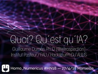 Quoi? Qu’est qu’IA?
Guillaume Dumas,Ph.D (@introspection)
Institut Pasteur / FAU / HackYourPhD / ALIUS
Homo_Numericus #HN18 — 27/4/18 Marseille
 