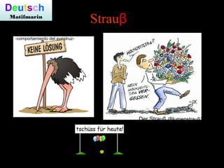 Deutsch
Matifmarin
Strauβ
Der Strauß (Vogel) Der Strauß (Blumenstrauß)
Die Vogel-Strauß-Politik
-comportamiento del avestruz-
 