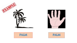 PALM PALM
 