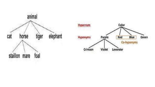 Homonym & hyponym presentasi b.inggris