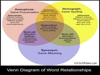 Homonyms | PPTX