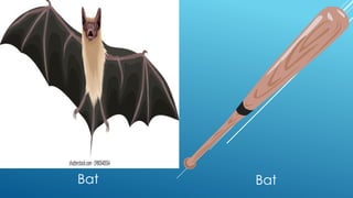 Bat Bat
 