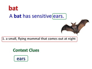 A bat has sensitive ears.
 