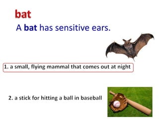 A bat has sensitive ears.
 