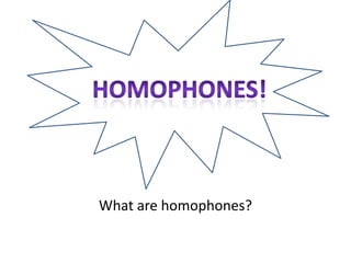 What are homophones? Homophones! 