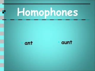 Homophones

• ant   • aunt
 