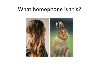 What homophone is this?
 