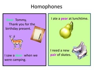 Homophones - Words that sound the same but have different meanings | PPTX