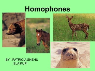 Homophones
BY : PATRICIA SHEHU
ELA KUPI
 
