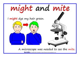 © Copyright 2009, SparkleBox Teacher Resources (www.sparklebox.co.uk)
I might dye my hair green.
A microscope was needed to see the mite.
 