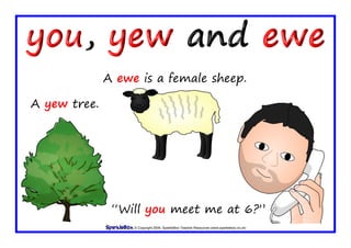 © Copyright 2009, SparkleBox Teacher Resources (www.sparklebox.co.uk)
A yew tree.
“Will you meet me at 6?”
A ewe is a female sheep.
 