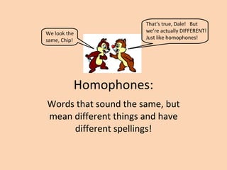 Homophones: Words that sound the same, but mean different things and have different spellings! We look the same, Chip! That’s true, Dale!  But we’re actually DIFFERENT! Just like homophones! 