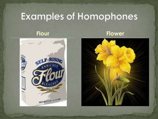 FlourExamples of HomophonesFlower