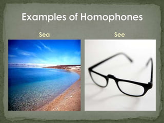 Sea Examples of HomophonesSee