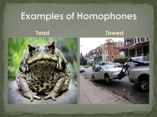 ToadExamples of HomophonesTowed