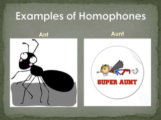 AntExamples of HomophonesAunt