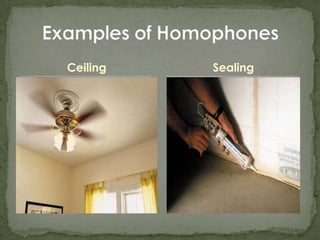 CeilingExamples of HomophonesSealing
