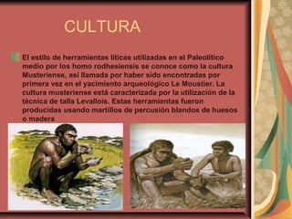 CULTURA
El estilo de herramientas líticas utilizadas en el Paleolítico
medio por los homo rodhesiensis se conoce como la cultura
Musteriense, así llamada por haber sido encontradas por
primera vez en el yacimiento arqueológico Le Moustier. La
cultura musteriense está caracterizada por la utilización de la
técnica de talla Levallois. Estas herramientas fueron
producidas usando martillos de percusión blandos de huesos
o madera
 