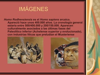 IMÁGENES
Homo Rodhensiensis es el Homo sapiens arcaico.
Apareció hace unos 400.000 años. La cronología general
estaría entre 500/400.000 y 200/150.000. Aparecen
culturalmente asociados a las últimas fases del
Paleolítico inferior (Achelense superior y evolucionado),
con industrias líticas que preludian el Musteriense
 
