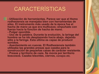 CARACTERÍSTICAS
- Utilización de herramientas. Parece ser que el Homo
rodhesiensis se manejaba bien con herramientas de
sílex. El instrumento más usado de la época fue el
hacha de mano ya que era multiusos; empuñado con
fuerza hacía la función de hacha de mano.
- Pulgar oponible.
- Uso de la palabra. Durante la evolución, la laringe del
hombre se ha ido desplazando hacia abajo, dejando
sitio a la faringe. Esta última es capaz de producir
sonidos.
- Asentamiento en cuevas. El Rodhesiensis también
utilizaba las grandes presas que cazaba para la
construcción de pequeñas casas de carácter resistente.
- Presas y territorio de caza. Se movía por territorio
boscosos. Cazaba bisontes, ciervos, conejos etc.
 