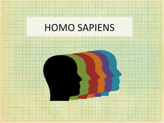 HOMO SAPIENS 