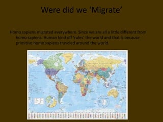 Were did we ‘Migrate’Homo sapiens migrated everywhere. Since we are all a little different from homo sapiens. Human kind off ‘rules’ the world and that is because primitive homo sapiens traveled around the world.