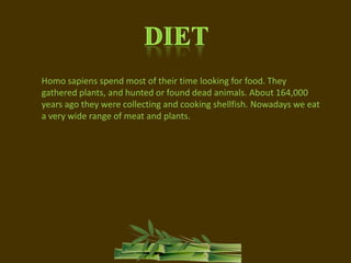 DietHomo sapiens spend most of their time looking for food. They gathered plants, and hunted or found dead animals. About 164,000 years ago they were collecting and cooking shellfish. Nowadays we eat a very wide range of meat and plants.