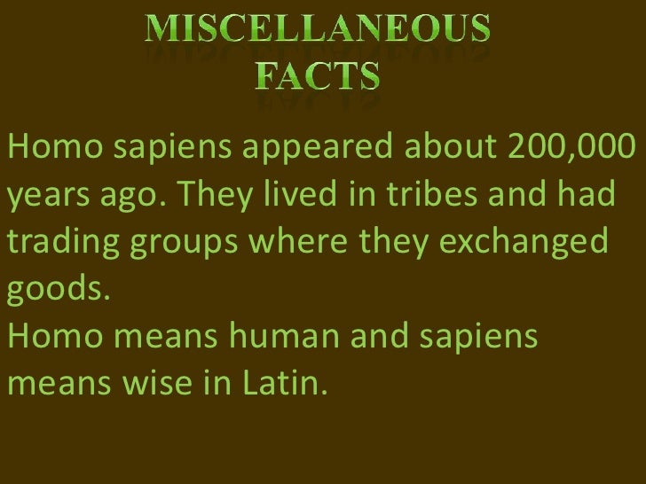 What Food Did Homo Sapiens Eat What Food Did Homo Sapiens Eat