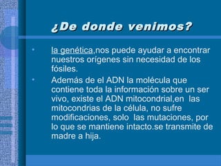 ¿De donde venimos?¿De donde venimos?
• la genética,nos puede ayudar a encontrar
nuestros orígenes sin necesidad de los
fósiles.
• Además de el ADN la molécula que
contiene toda la información sobre un ser
vivo, existe el ADN mitocondrial,en las
mitocondrias de la célula, no sufre
modificaciones, solo las mutaciones, por
lo que se mantiene intacto.se transmite de
madre a hija.
 