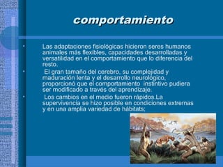 comportamientocomportamiento
• Las adaptaciones fisiológicas hicieron seres humanos
animales más flexibles, capacidades desarrolladas y
versatilidad en el comportamiento que lo diferencia del
resto.
• El gran tamaño del cerebro, su complejidad y
maduración lenta y el desarrollo neurológico,
proporcionó que el comportamiento instintivo pudiera
ser modificado a través del aprendizaje.
• Los cambios en el medio fueron rápidos.La
supervivencia se hizo posible en condiciones extremas
y en una amplia variedad de hábitats;
 