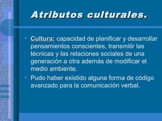 Atributos culturales.Atributos culturales.
• Cultura:Cultura: capacidad de planificar y desarrollar
pensamientos conscientes, transmitir las
técnicas y las relaciones sociales de una
generación a otra además de modificar el
medio ambiente.
• Pudo haber existido alguna forma de código
avanzado para la comunicación verbal.
 