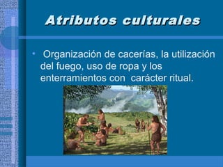 Atributos culturalesAtributos culturales
• Organización de cacerías, la utilización
del fuego, uso de ropa y los
enterramientos con carácter ritual.
 