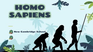 HOMO
SAPIENS
New Cambridge School
 