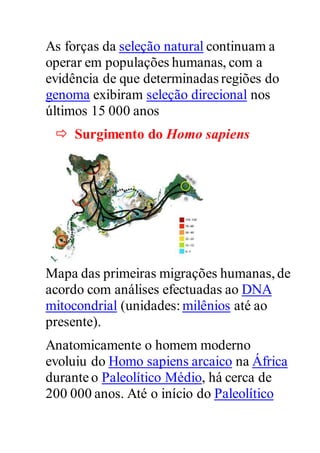 As forças da seleção natural continuam a
operar em populações humanas, com a
evidência de que determinadas regiões do
genoma exibiram seleção direcional nos
últimos 15 000 anos
 Surgimento do Homo sapiens
Mapa das primeiras migrações humanas,de
acordo com análises efectuadas ao DNA
mitocondrial (unidades: milênios até ao
presente).
Anatomicamente o homem moderno
evoluiu do Homo sapiens arcaico na África
durante o Paleolítico Médio, há cerca de
200 000 anos. Até o início do Paleolítico
 